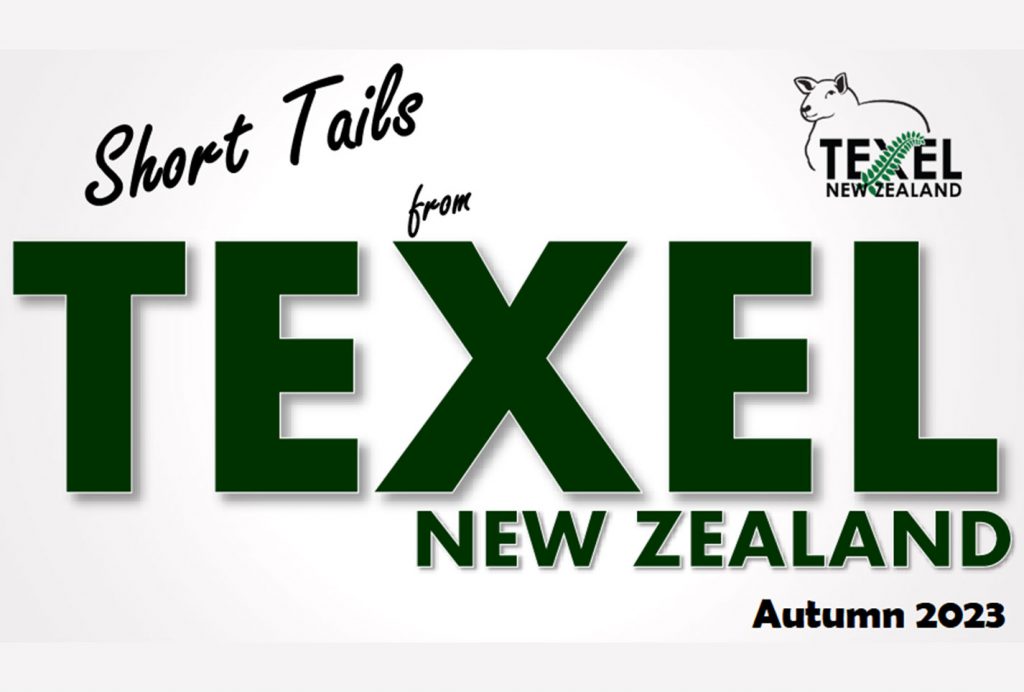 Short Tails From Texel New Zealand